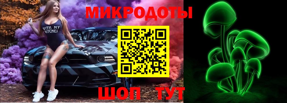 Галлюциногенные грибы Psilocybine cubensis Краснознаменск